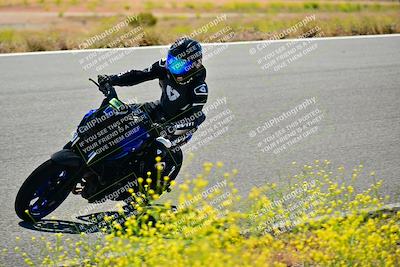 media/May-10-2024-2WTD (Fri) [[c88d7990af]]/Group C/Session 2-The Bowl/